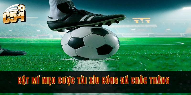 Kèo tài xỉu bóng đá và chi tiết các loại kèo bạn nên biết 3 Bật mí mẹo cược tài xỉu bóng đá chắc thắng bạn nên biết