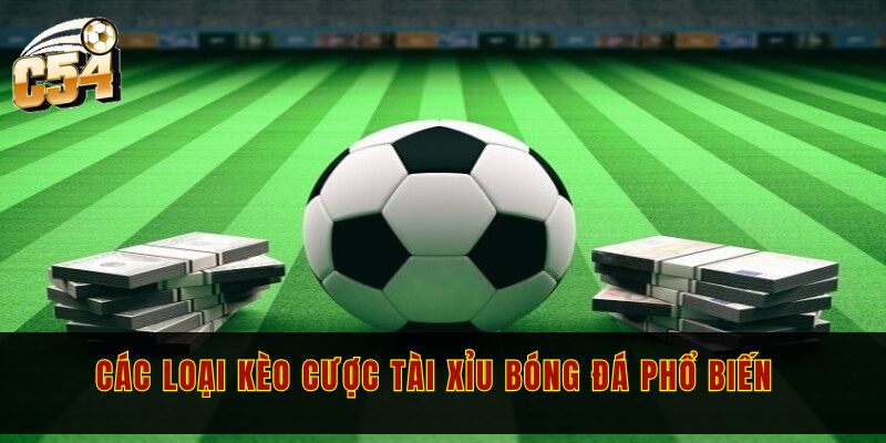 Kèo tài xỉu bóng đá và chi tiết các loại kèo bạn nên biết 2 Các loại kèo cược tài xỉu bóng đá phổ biến nhất hiện nay