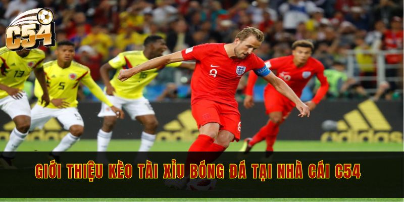 Kèo tài xỉu bóng đá và chi tiết các loại kèo bạn nên biết 1 Giới thiệu kèo tài xỉu bóng đá tại nhà cái C54