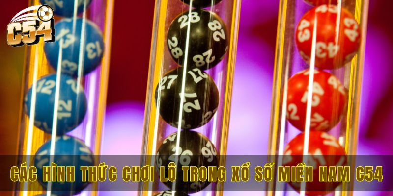 Xổ số miền Nam C54 và 3 chiến thuật quay số cực đỉnh 2 Một số hình thức chơi lô trong xổ số miền Nam C54