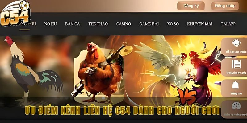 Liên hệ C54 để nhận hỗ trợ với 4 phương thức mới nhất 1 Ưu điểm kênh liên hệ C54 dành cho người chơi