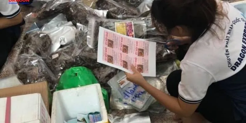 Chuyển phát nhanh DHL tại Quận 10 TPHCM